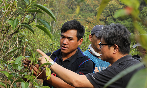 1562812210273333.jpg 3.jpg